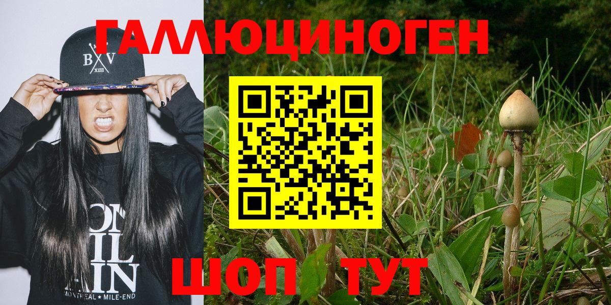 Галлюциногенные грибы GOLDEN TEACHER Артёмовский